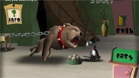 小猫出逃记