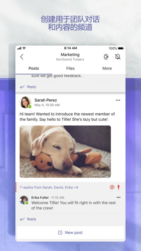microsoft teams