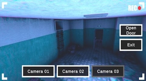 鸟妈妈最后的故事