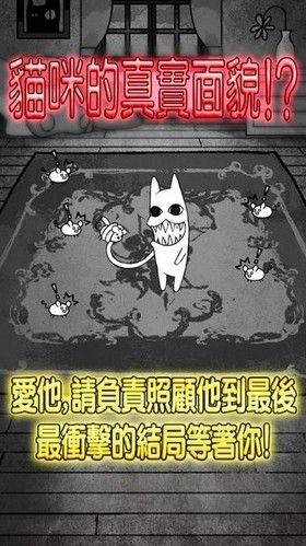 世界奇喵物语