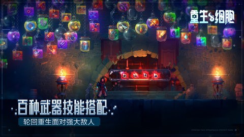 重生细胞2.4.9