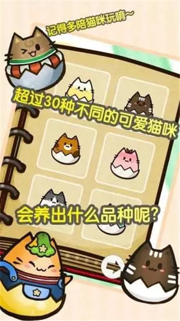 赚钱猫