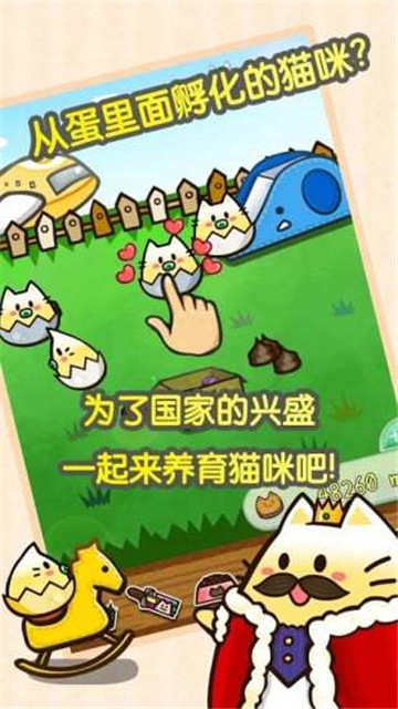 赚钱猫