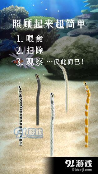 养育花园鳗的治愈