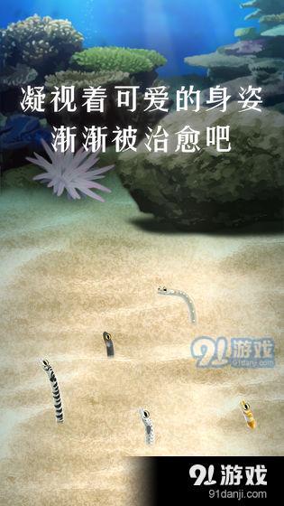 养育花园鳗的治愈