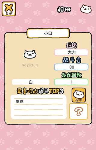 猫咪后院