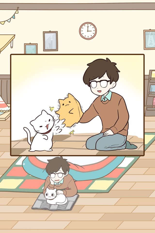 饲养猫咪的生活