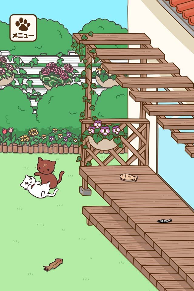 饲养猫咪的生活