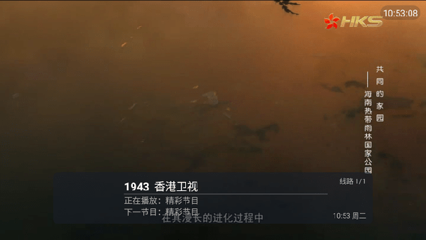 七七tv