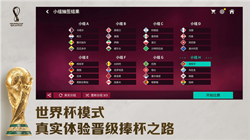 fifa足球世界国际服
