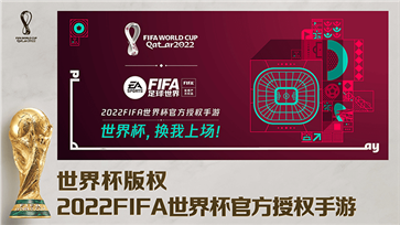fifa足球世界国际服