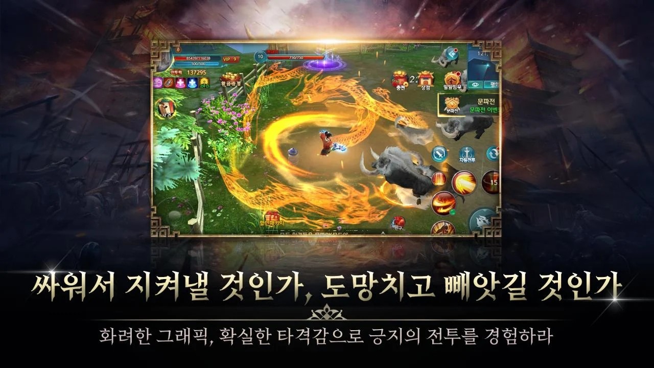 禁卫军皇帝骑士团