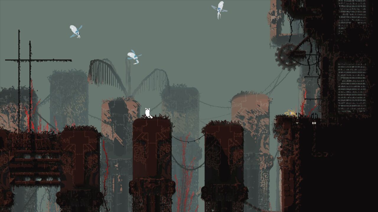 雨世界
